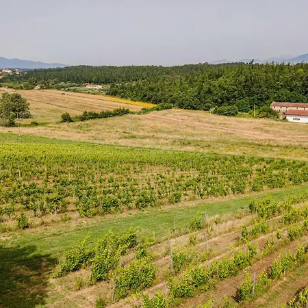 3 Bedroom Amazing In Lazzeretto